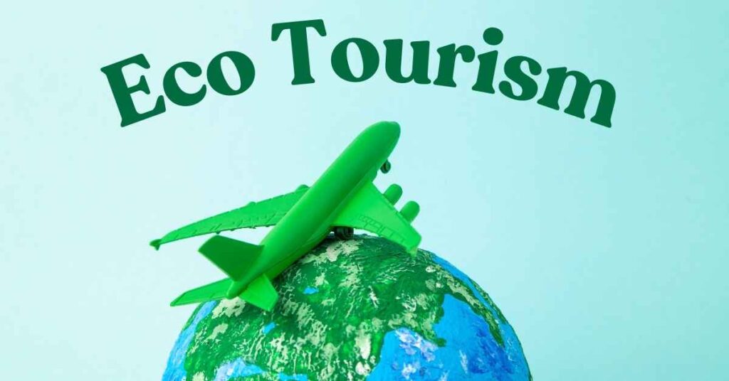 eco tourism questions