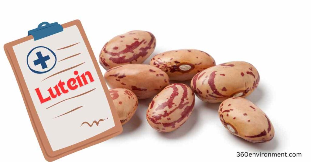 lutein in pinto beans