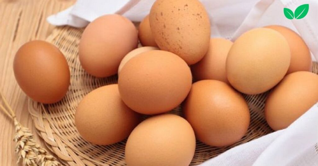 how long are fresh eggs good for