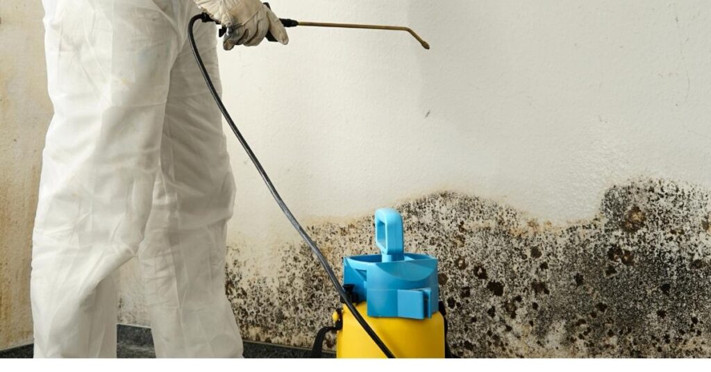 is heat good for killing mold