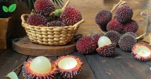 pulasan