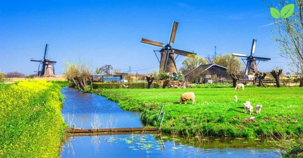 sustainable development in the netherlands