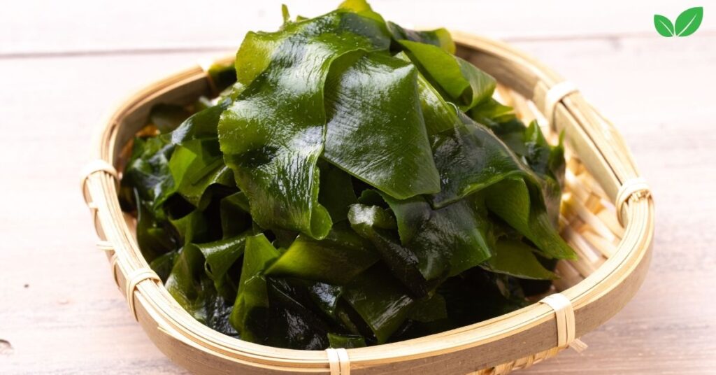 wakame