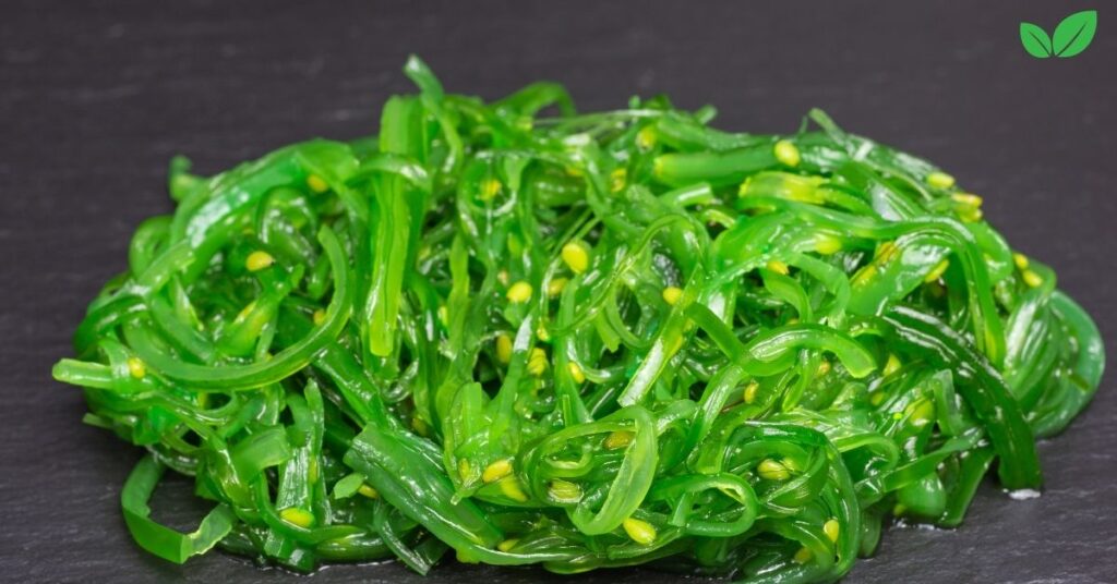 wakame