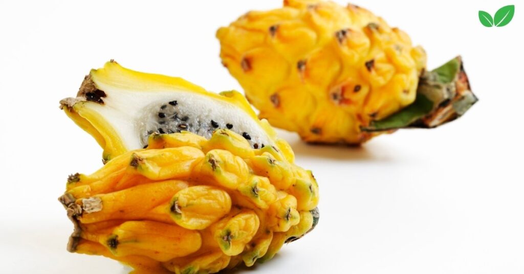 yellow dragon fruit