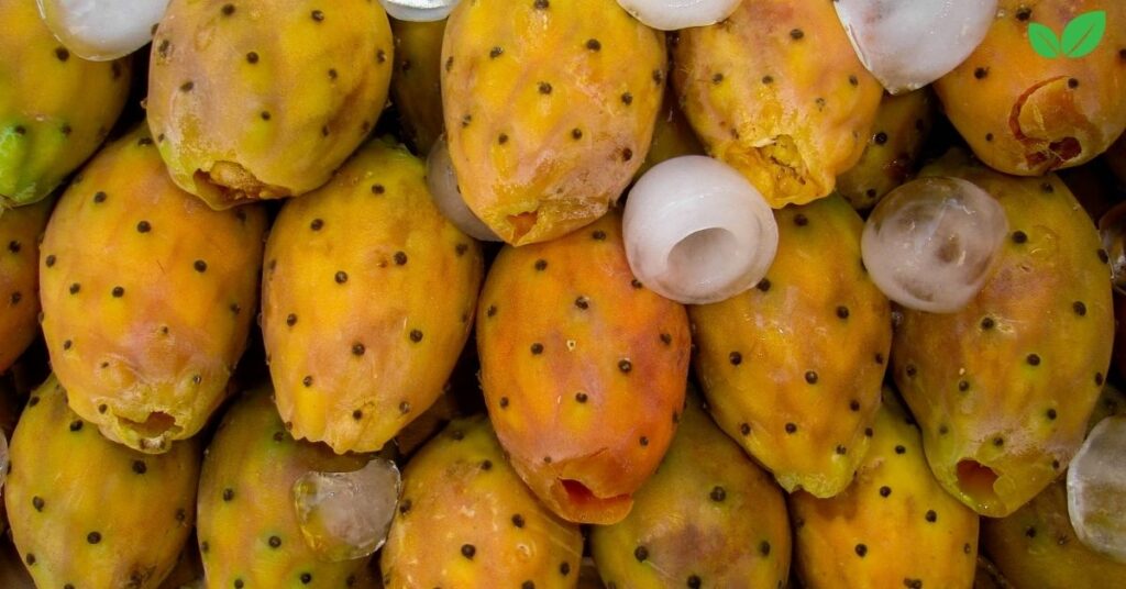 yellow dragon fruit