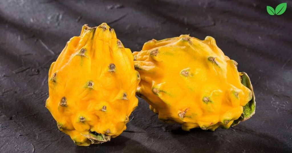 yellow dragon fruit