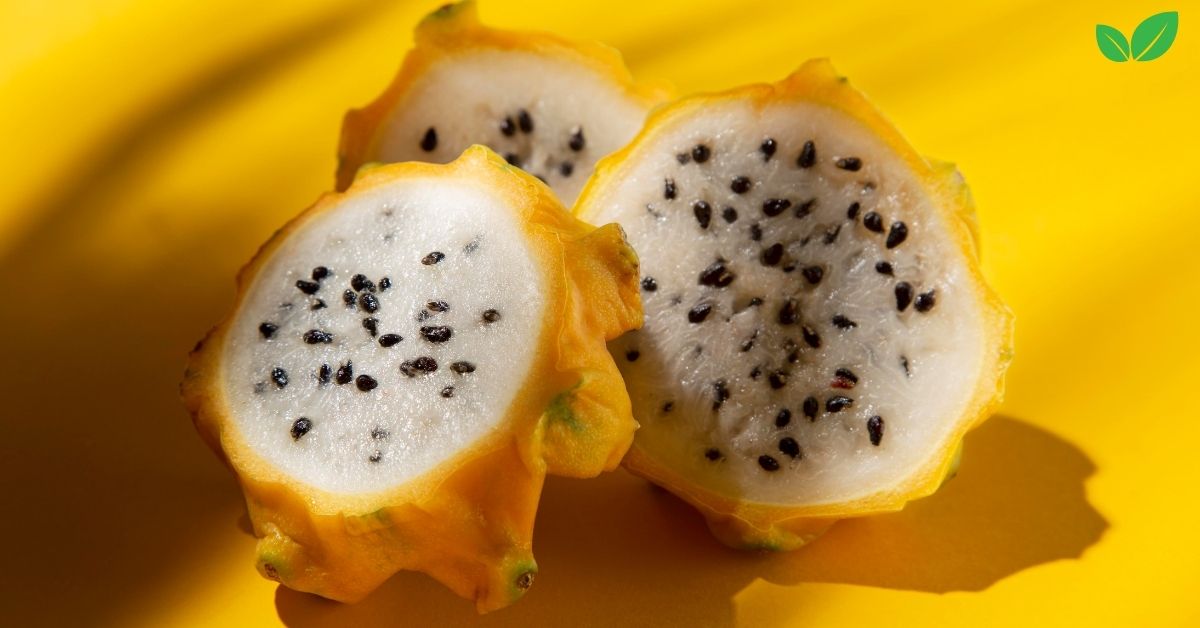 yellow dragon fruit