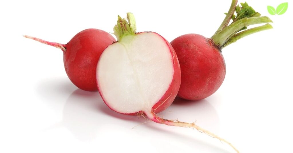 radish